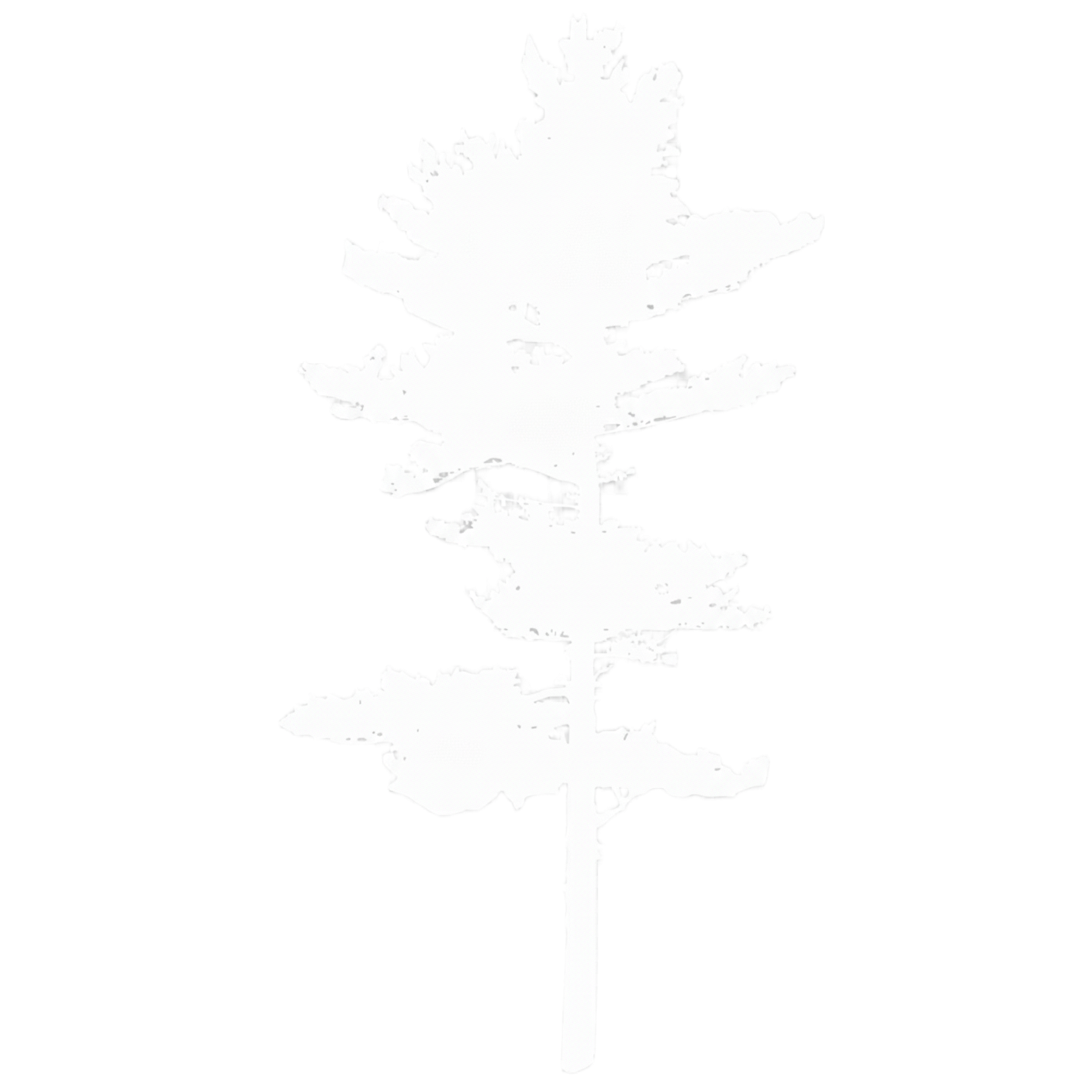 PIA Industries Logo